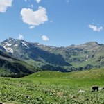 Weidewiese unterhalb der Inneren Wumblsalm