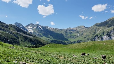 Weidewiese unterhalb der Inneren Wumblsalm