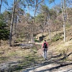 Sanfte Wanderung um Völs am Schlern