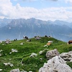 Unterwegs öffnen sich malerische Ausblicke