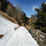 Am Beginn des Wanderweges zur Schönbergalm