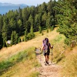 Der Rückweg von der Platte erfolgt auf dem Hinweg