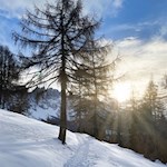 "Natur ist das große Bilderbuch, das der liebe Gott uns draußen aufgeschlagen hat" (J. von Eichendorff)