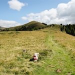 Über den breiten Grat vom Lutterkopf auf den Durakopf