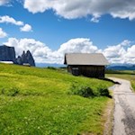 Der breite Wanderweg zur Almrosenhütte kann auch mit dem Kinderwagen befahren werden