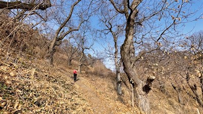 Auf dem Birmehlweg nach Verdings