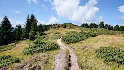 Zwischen Lutterkopf und Durakopf