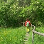 Der Rückweg vom Verena Kirchlein nach Kollmann erfolgt auf dem Hinweg