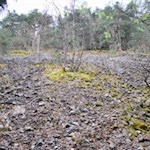 Die Geröllwüste der Ganne