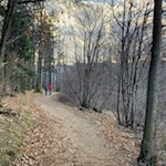 Leichte Wanderung vom Kalterer zum Montiggler See