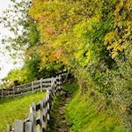 Durch die herbstlich gefärbten Wiesen nach Maria Saal