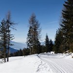 Sanft schlängelt sich der Wanderweg zur Starkenfeldhütte