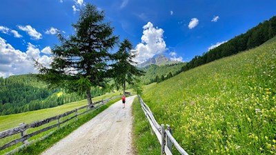 Im sanften Anstieg führt der Wanderweg zur Vaciara Hütte