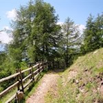 Auf dem Rückweg folgen wir dem Weg Nr. 1