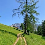 Durch sattgrüne Wiesen in Richtung Ochsenhütte