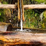 Erfrischende Abkühlung am Wegesrand