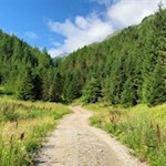 Auf breiten Wegen zur Valtiglalm