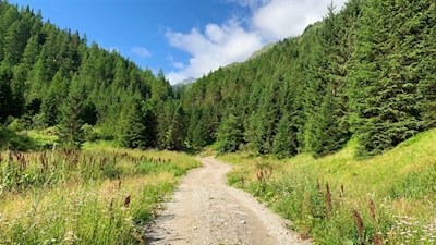 Auf breiten Wegen zur Valtiglalm