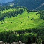 Die saftigen Juac-Wiesen