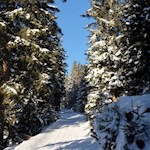 Durch den winterlichen Wald zurück nach St. Ulrich