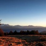 Die linden Strahlen der Wintersonne tauchen die Natur in warme Farben