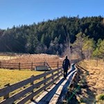 Der Planetenweg schlängelt sich durch lauschige Biotope