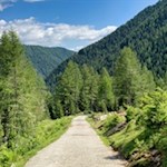 Auf dem breiten Weg Nr. 12A zurück zum Ausgangspunkt