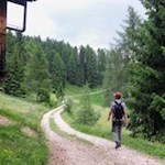 Auf dem Weg Nr. 1A zurück zum Karerpass