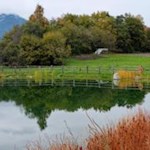 Malerisch spiegelt sich die herbstbunte Landschaft im Teich