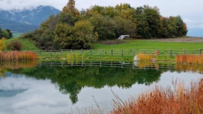 Malerisch spiegelt sich die herbstbunte Landschaft im Teich