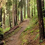 Auf historischen Spuren durch den Wald