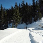 Der gebahnte Winterwanderweg führt im angenehmen Anstieg durch den Wald