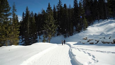 Der gebahnte Winterwanderweg führt im angenehmen Anstieg durch den Wald