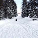 Die Haunold Rodelbahn in der Ferienregion 3 Zinnen verspricht ungetrübten Rodelspaß