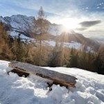 Ausblick auf den schneeverhangenen Latemar