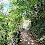 Im sanften Anstieg nach Schenna