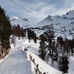 Auf dem Weg Nr. 7 in Richtung Sennes