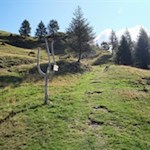 Durch Wiesen und Haine zur Sunnolm