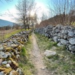 Der Pfaffensteig wird von Trockenmauern umsäumt