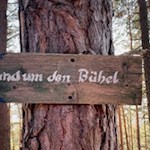 Unterhalb des Spingeser Kreuzes taucht der Weg in den Wald ein