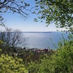 Der Weg auf die Rocca gibt immer wieder Blicke auf den Gardasee frei