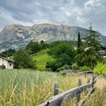 Von Ums führt ein schöner Wanderweg zur Tschafonhütte