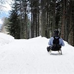 Auf die Kufen, fertig, los - rodeln von der Gasserhütte