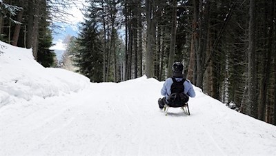 Auf die Kufen, fertig, los - rodeln von der Gasserhütte