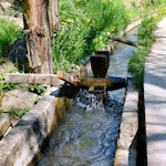 Waalschelle am Marlinger Waalweg