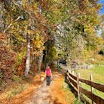 Wandern mit Hund auf dem Ritten