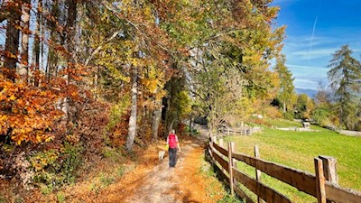 Wandern mit Hund auf dem Ritten