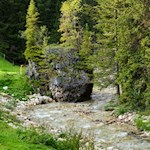 Presso l'impetuoso Rü de Col dai Furnes