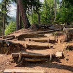 Im steten Anstieg zur Tarscher Alm