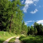 Der Weiher am Ritjoch steht unter Naturschutz